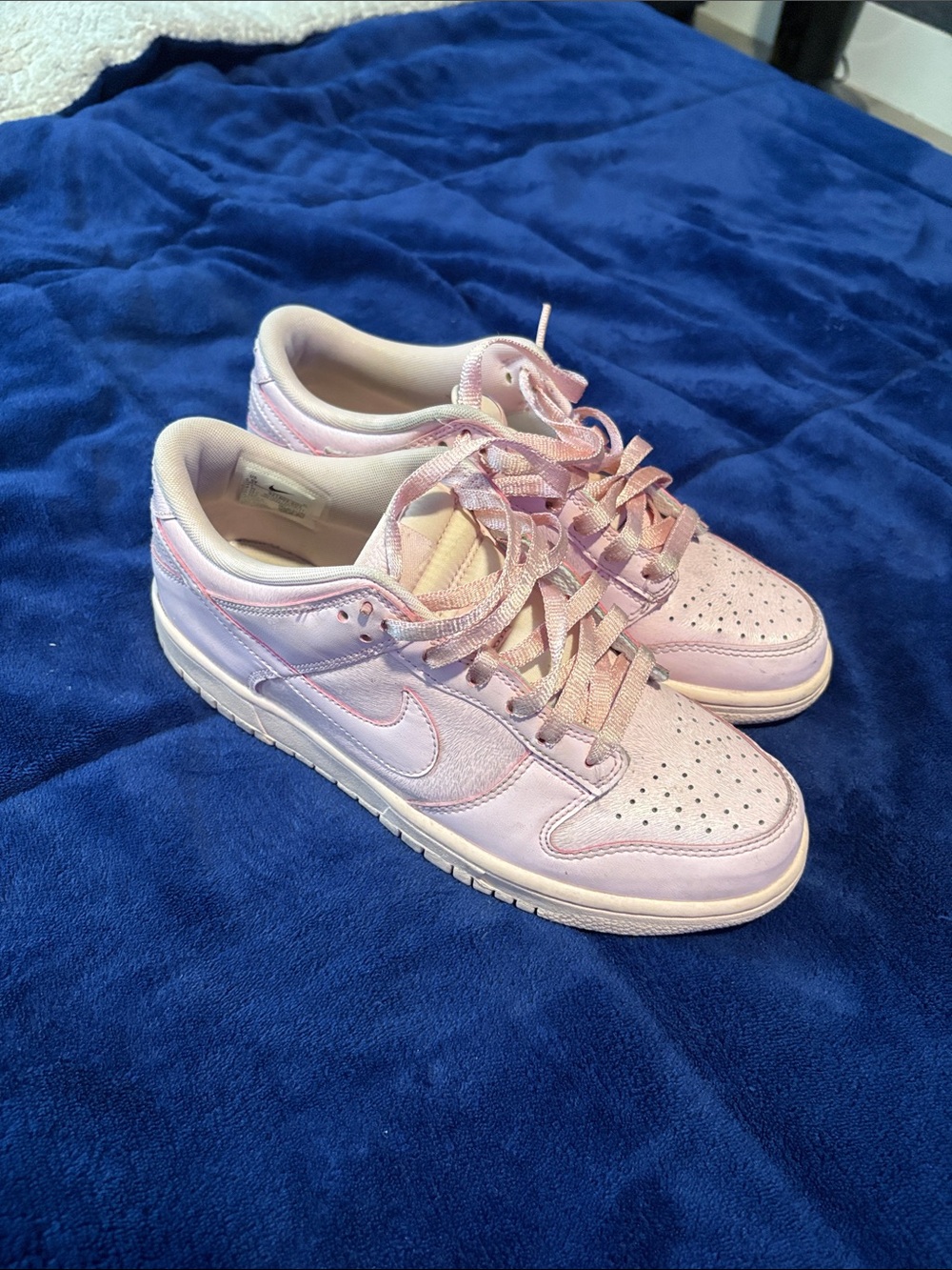 Nike Women’s Low-Top Sneakers in Pastel Pink and Lilac